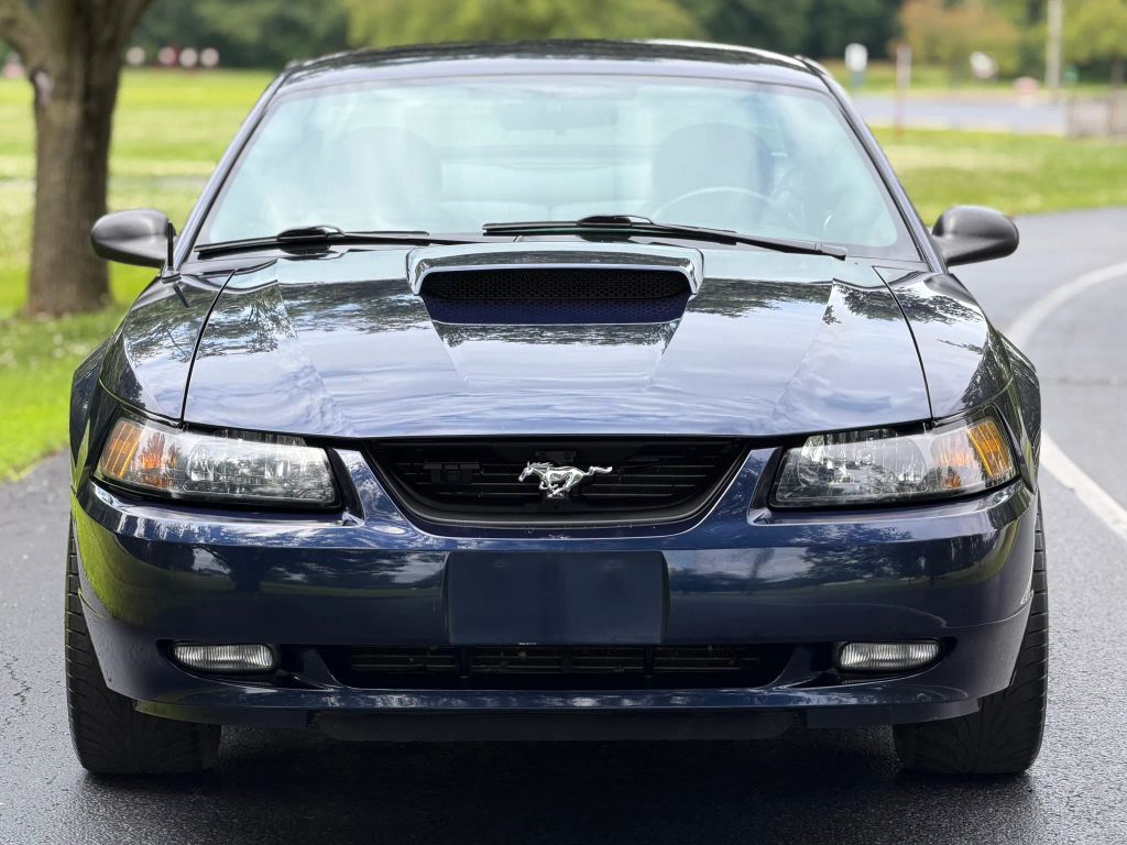 2003 Ford Mustang photo 2
